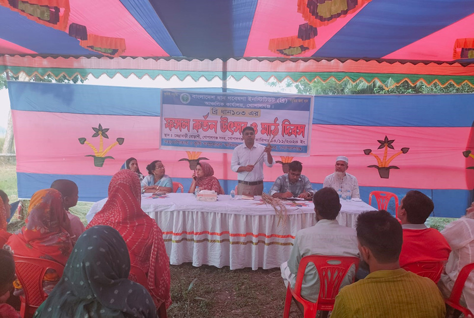 গোপালগঞ্জে ব্রি ধান-১০৩ এর ফসল কর্তন উৎসব