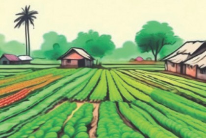 ইসলামী উৎপাদন ব্যবস্থাপনায় ভূমি