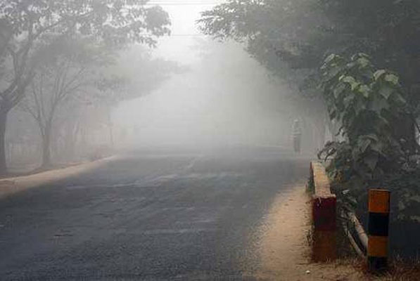 ঘন কুয়াশার চাদরে পঞ্চগড়ের জনপদ, তাপমাত্রা ১৫ ডিগ্রি সেলসিয়াস 

