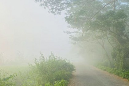 দেশের উত্তরাঞ্চলে শেষরাতে ঘন কুয়াশার আভাস