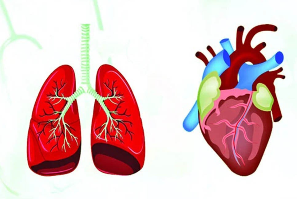 শ্বাসকষ্ট : ফুসফুসের না হার্টের সমস্যা