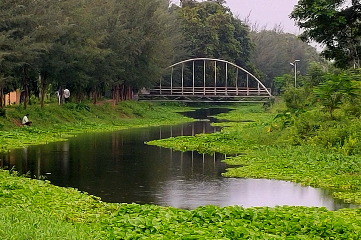 ইবির লেকের নতুন নাম হবে ‘মীর মুগ্ধ সরোবর’
