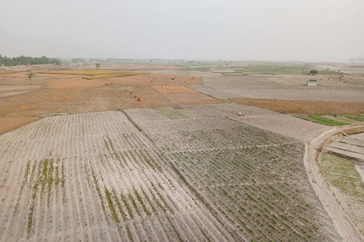 রংপুর বিভাগে অনাবাদি পৌনে তিন লাখ হেক্টর জমি!