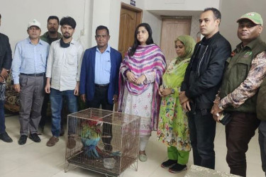 গাজীপুর সাফারি পার্ক থেকে দু’টি ম্যাকাও পাখি চুরি