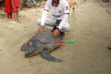 ২০০ বছরের দুর্লভ কাছিম উদ্ধার