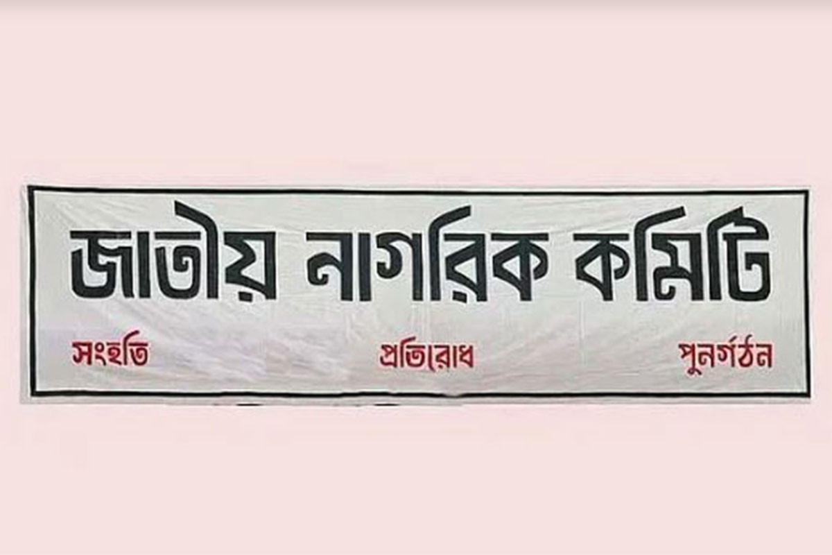 সারজিসসহ আরও ৪৫ জন যুক্ত হলেন নাগরিক কমিটিতে