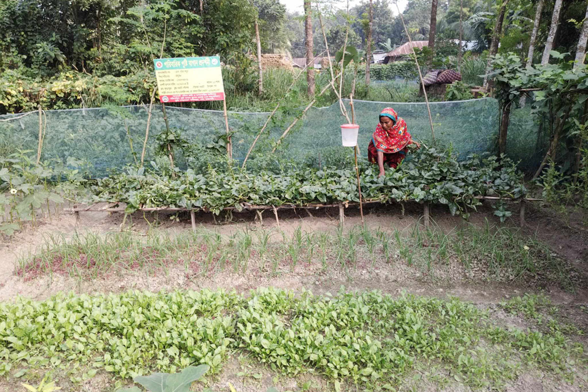 পারিবারিক পুষ্টি বাগানে স্বাবলম্বী হচ্ছে গ্রামীণ নারী