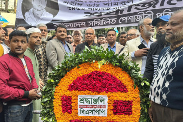 শহীদ ডা. মিলনের সমাধিতে পেশাজীবী পরিষদের শ্রদ্ধা