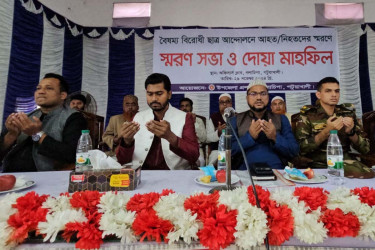 রাতারাতি নির্বাচন হলে এই সিস্টেমের পরিবর্তন হবে না : নুর