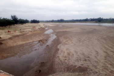 খরস্রোতা ঢেপা নদী এখন ধু ধু বালুচর!