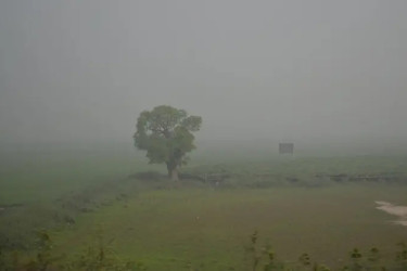 সর্বনিম্ন তাপমাত্রা তেঁতুলিয়ায়