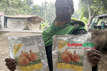 সরকারের বিতরণকৃত পিয়াজের বীজে ক্ষতিগ্রস্ত সহস্রাধিক কৃষক