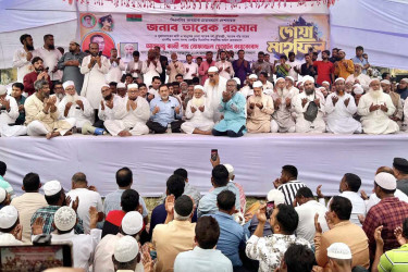 মুরাদনগরে আনন্দ মিছিল, মসজিদে মসজিদে দোয়া