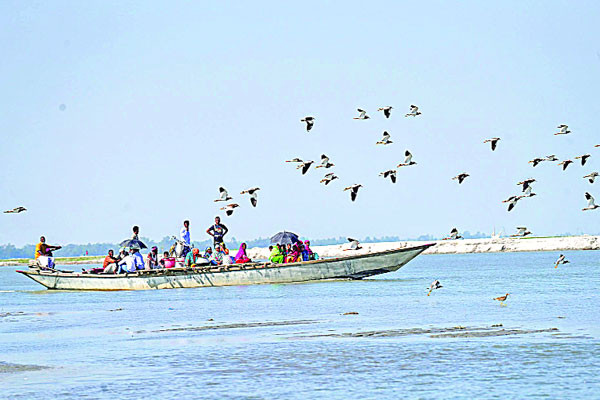 পরিযায়ী পাখিতে মুখর তিস্তা