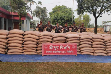 সিলেটে অর্ধকোটি টাকার চোরাই পণ্য জব্দ করলো বিজিবি