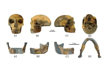 চীনে তিন লাখ বছরের পুরনো মানব ফসিল আবিস্কারের দাবি