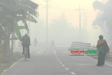 ঘন কুয়াশায় ঢেকে আছে কুড়িগ্রামের জনপদ