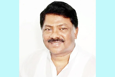 বিস্ফোরক মামলায় ১২ বছরের সাজা থেকে বিএনপি নেতা দুলুকে খালাস