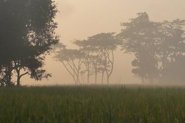 দেশের সর্বনিম্ন তাপমাত্রা চুয়াডাঙ্গায় ১০.২ ডিগ্রি