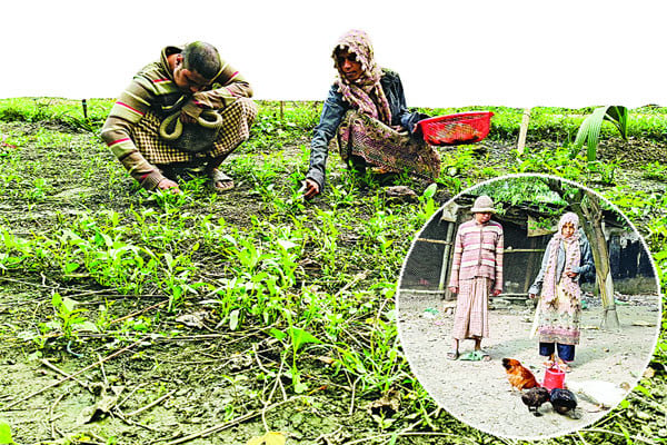 সবজি ফেরিওয়ালা সাফিয়া খাতুন