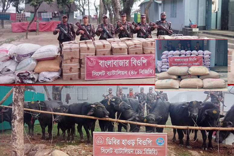 সীমান্তে প্রায় দেড় কোটি টাকার চোরাই পণ্য জব্দ