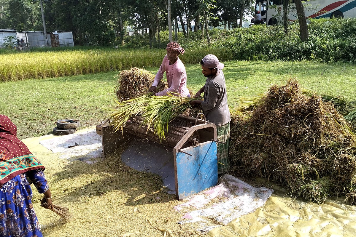 উদ্বৃত্ত ধানের দেশ রংপুরে চাল আসে দক্ষিণাঞ্চল থেকে