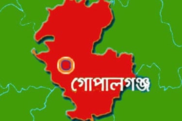 গোপালগঞ্জে অটোভ্যানের ধাক্কায় শিশু নিহত