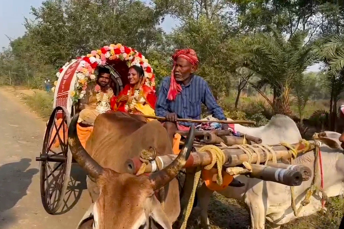 ঐতিহ্য ধরে রাখতে গরুর গাড়ীতে বিয়ে
