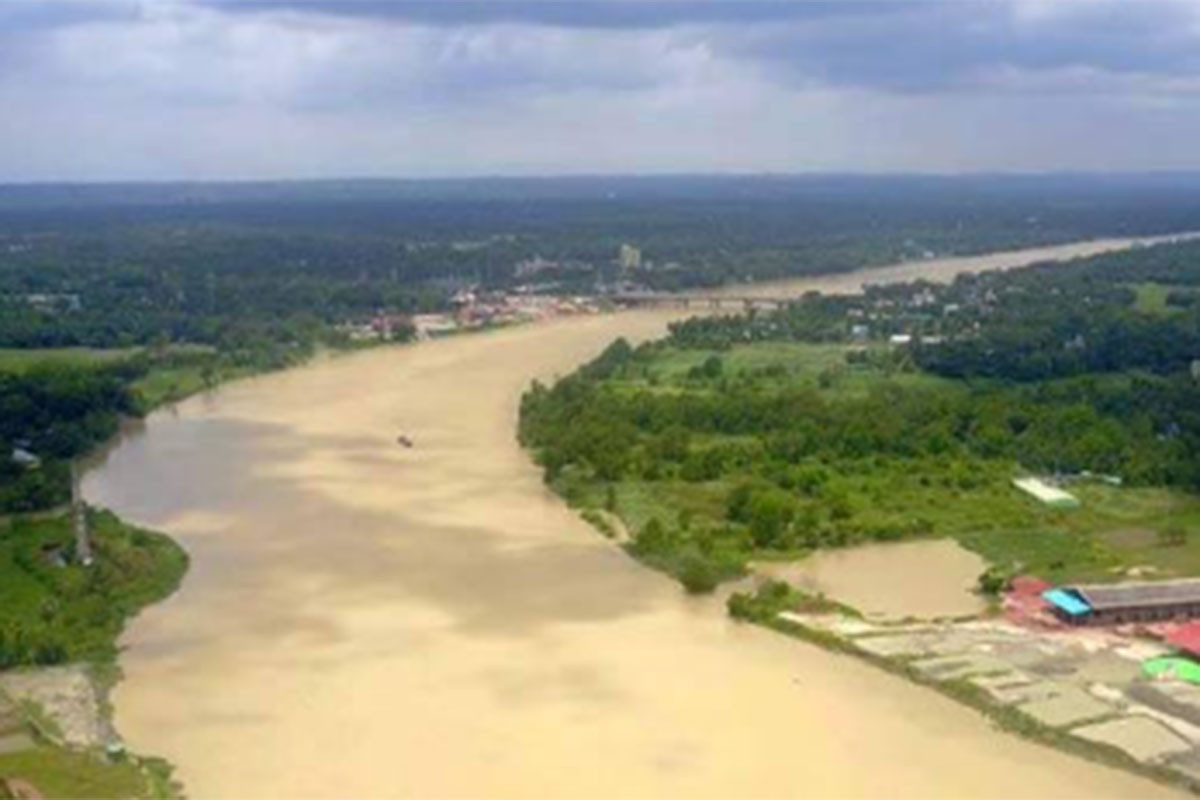 হালদা থেকে মৃত ডলফিন উদ্ধার