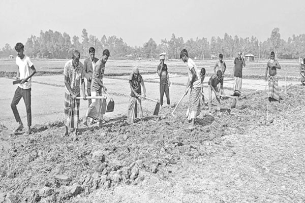 স্বেচ্ছাশ্রমে দেড় কিলোমিটার সড়ক