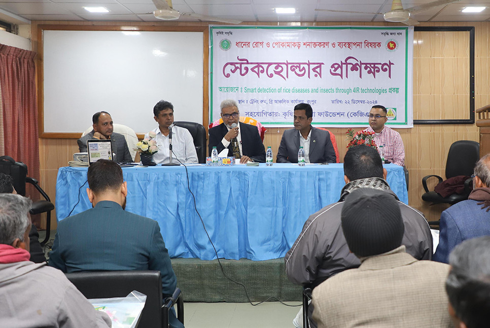 রোগাক্রান্ত ধান গাছের ছবি মোবাইল অ্যাপসে পাঠালেই সমাধান পাবেন কৃষক