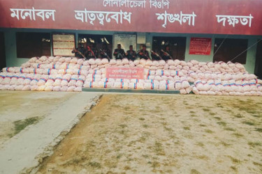 সীমান্তে তিন দিনে ৪ কোটি টাকার চোরাচালান পণ্য জব্দ