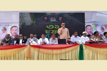 জনগণের প্রত্যাশা পূরণে অন্তর্বর্তীকালীন সরকার ধীর গতিতে চলছে: আমিনুল হক