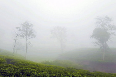 আজ দেশের সর্বনিম্ন তাপমাত্রা শ্রীমঙ্গলে