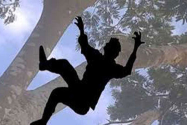 গাছ থেকে পড়ে শ্রমিকের মৃত্যু