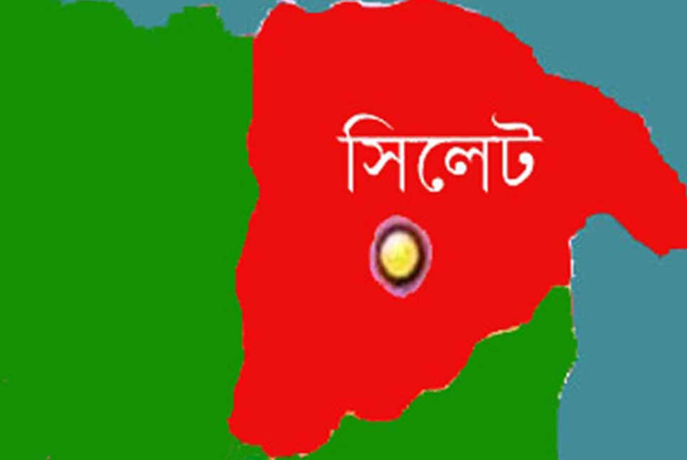 আওয়ামী লীগ নেতার মারধরে ছাত্রদল নেতার ভাইয়ের মৃত্যু