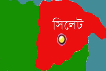 আওয়ামী লীগ নেতার মারধরে ছাত্রদল নেতার ভাইয়ের মৃত্যু