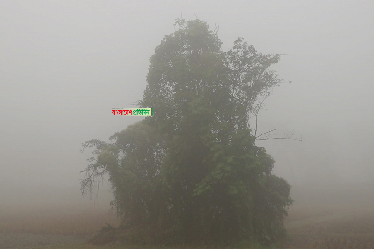 বছরের প্রথম দিন থেকেই শীত বাড়ার আভাস