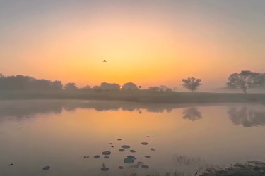 কমবে দিন ও রাতের তাপমাত্রা