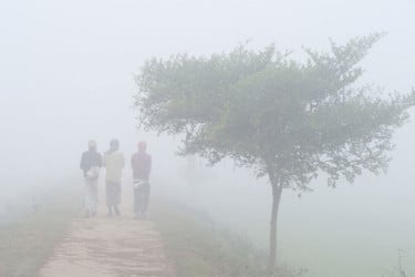 কুয়াশার চাদরে ঢাকা পড়েছে পঞ্চগড়