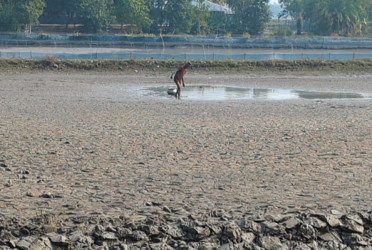 মোংলায় ঘের দখল করে মাছ লুটের অভিযোগ