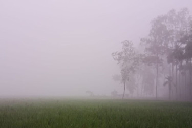 ১১.৪ ডিগ্রি তাপমাত্রায় কাঁপছে পঞ্চগড়