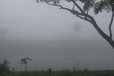 কুয়াশা ও তাপমাত্রা নিয়ে যা বলছে আবহাওয়া অধিদপ্তর