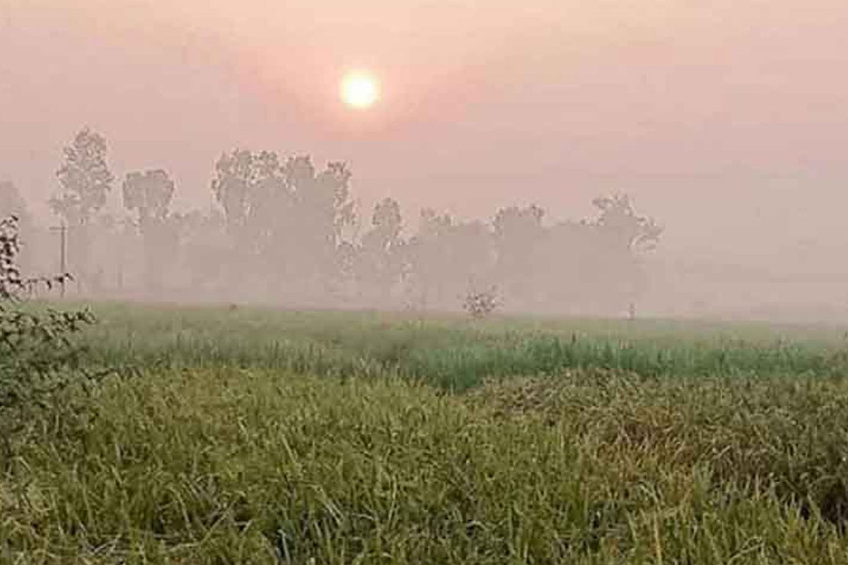 বাড়তে পারে দিন ও রাতের তাপমাত্রা