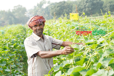 দেশে প্রথমবারের মতো পালন করা হচ্ছে কৃষক দিবস