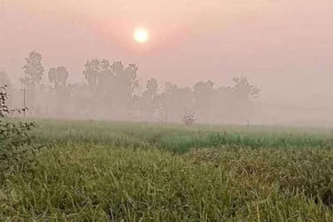 বাড়তে পারে দিন ও রাতের তাপমাত্রা