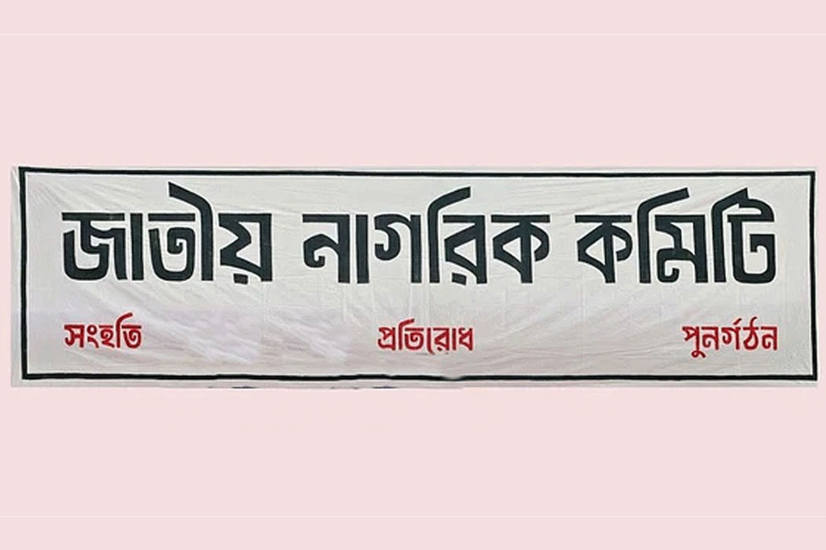 জাতীয় নাগরিক কমিটিতে যুক্ত হলেন আরও ৪১ জন