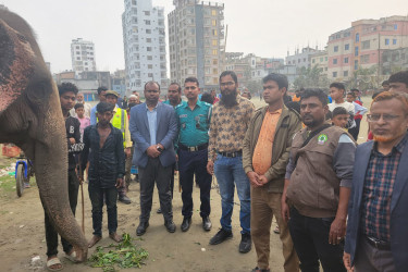 ‌‘ফুল সুন্দরী’র মাহুতকে জরিমানা