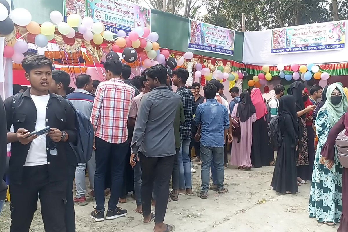 মেহেরপুরে পিঠা উৎসব
