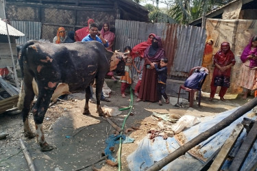 খামারিকে আটকে গোয়াল ঘরে আগুন; ৭টি গরু দগ্ধ ও ১ বাছুরের মৃত্যু